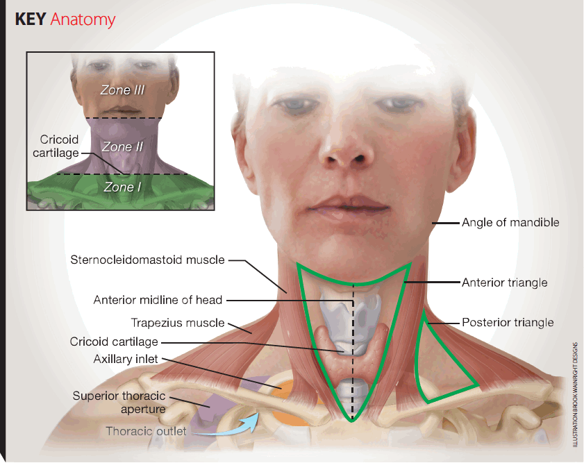 Recognizing and Managing Traumatic Neck Injuries - JEMS: EMS